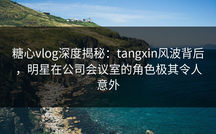 糖心vlog深度揭秘：tangxin风波背后，明星在公司会议室的角色极其令人意外